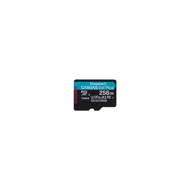 kingston-malukaart-microsdxc-256gb-canvas-go-plus-170r-a2-u3-v30
